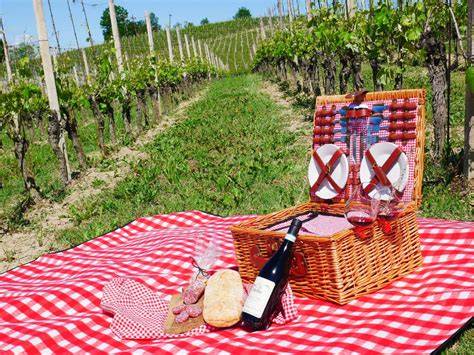 Picnic gourmet in vigna