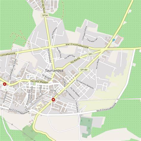 Mappa di Taurianova con indicata la posizione di Antica Armeria Sposato