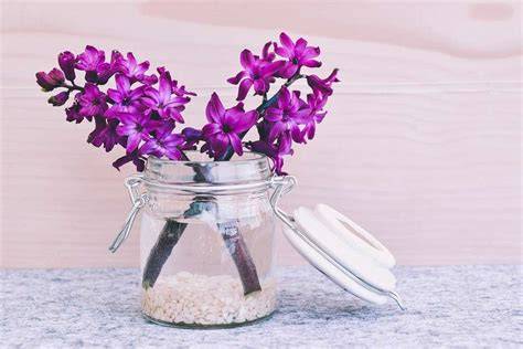 Composizioni di confettata con barattoli di vetro e fiori