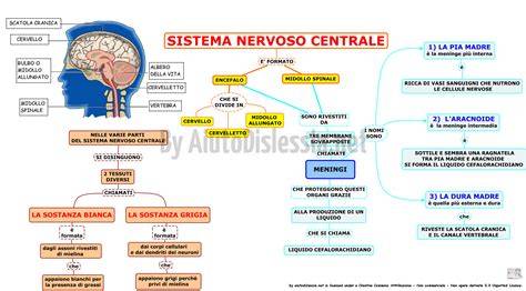 Mappa del sistema nervoso centrale