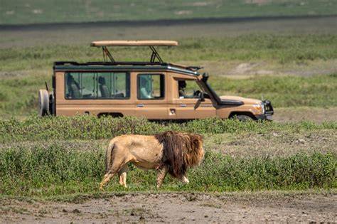 Safari nel Serengeti, Tanzania