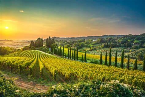 Paesaggio toscano con colline e vigneti