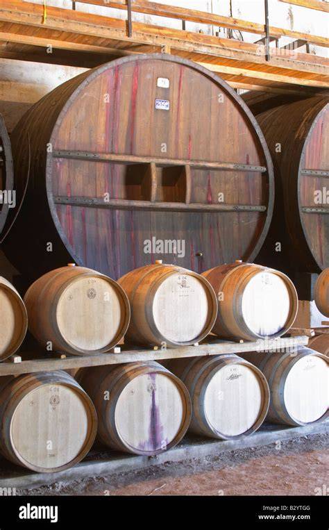 Interno della cantina con barriques di rovere francese