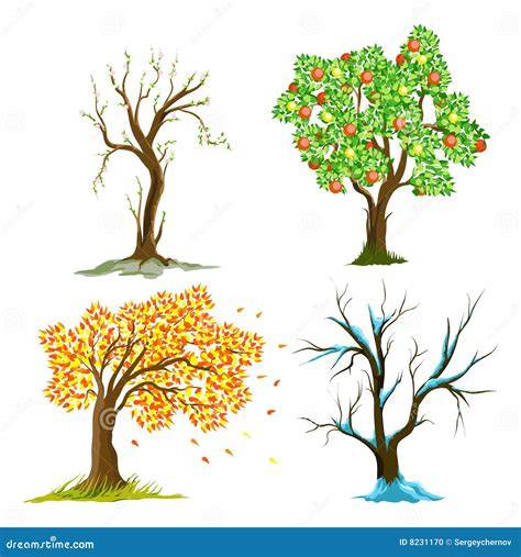 Rappresentazione simbolica di un albero con quattro sentieri