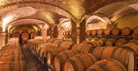 Cantina vinicola con degustazione