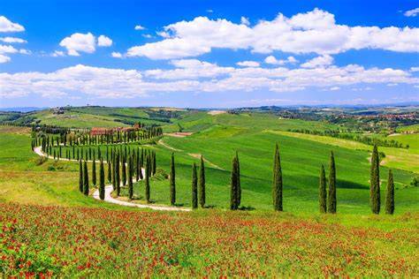 Panorama della Val d'Orcia con cipressi e colline