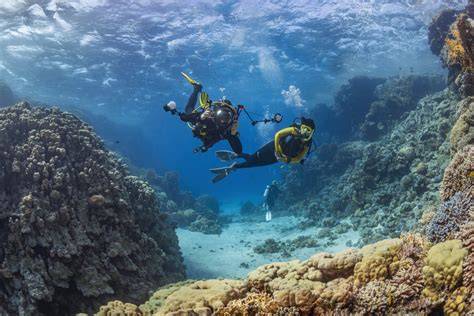 Coppia che fa immersioni subacquee