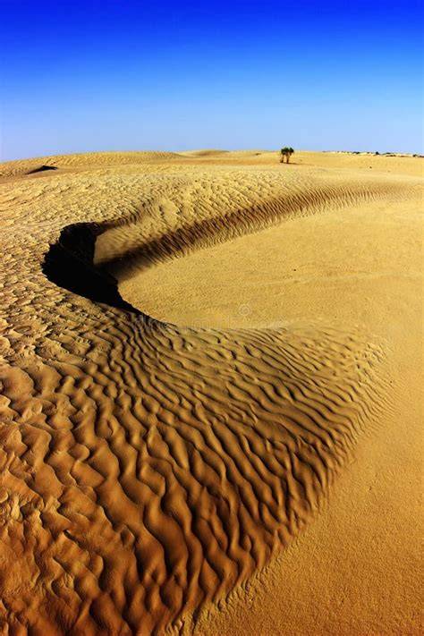 Paesaggio desertico con dune in Oman
