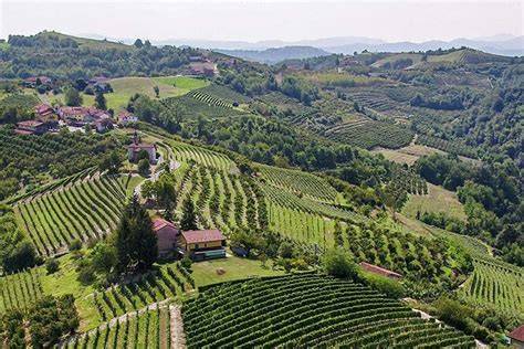 Cascina tradizionale piemontese immersa tra i vigneti