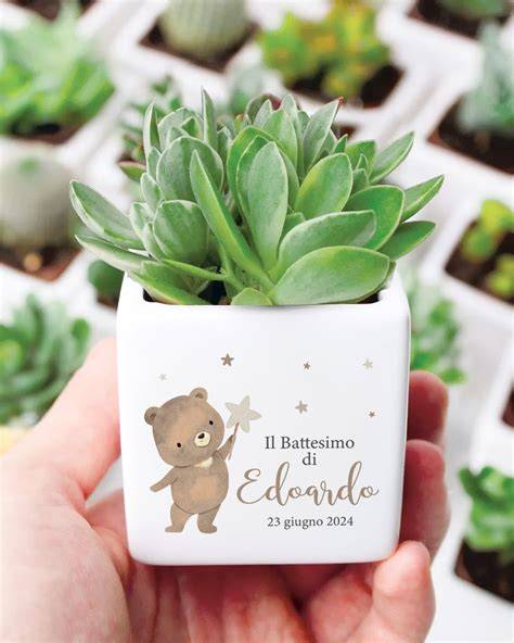 Esempio di bomboniera combinata per matrimonio e battesimo: una piccola piantina con tag personalizzato.