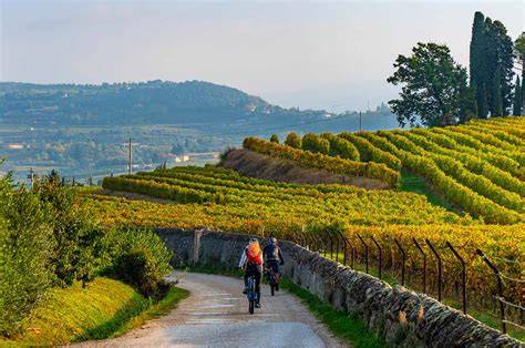Coppia in e-bike tra i vigneti della Valpolicella