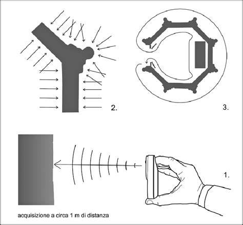 Schema che illustra la struttura rizomatica di Deleuze e Guattari