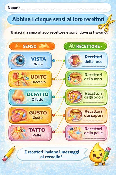 Infografica sui cinque sensi applicati all'organizzazione di un matrimonio