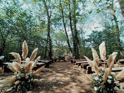 Allestimento matrimonio in un bosco con luci soffuse e elementi naturali
