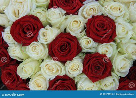 Abbinamento rose bianche e rosse