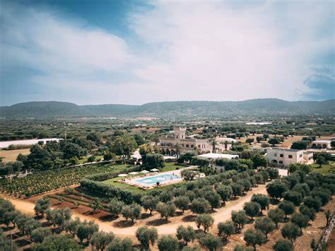 Masseria Salamina circondata da uliveti nella campagna di Fasano