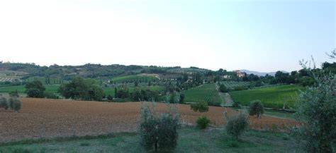 Veduta panoramica di Corte del Lupo con ulivi e colline