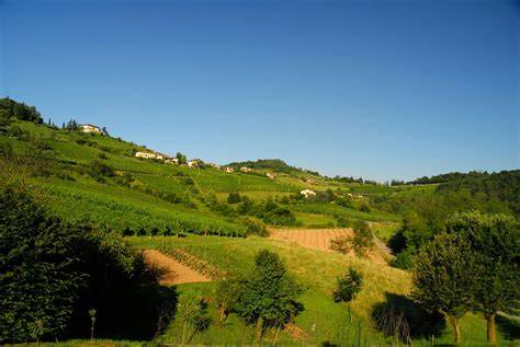 Panorama di Casale di Valle con vigneti