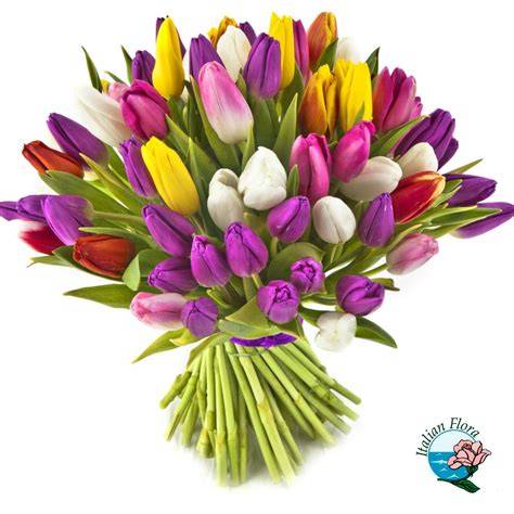 bouquet di tulipani colorati