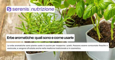 composizione di erbe aromatiche antiche