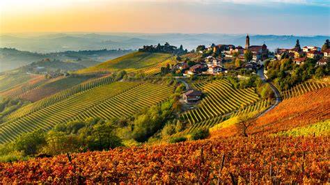 Paesaggio viticolo delle Langhe