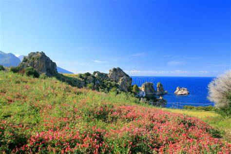 Paesaggio mediterraneo di Maccarese