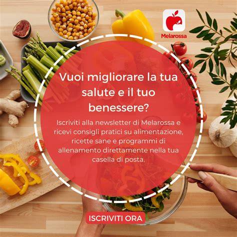 Schema che illustra i benefici della SEO per le aziende di matrimoni