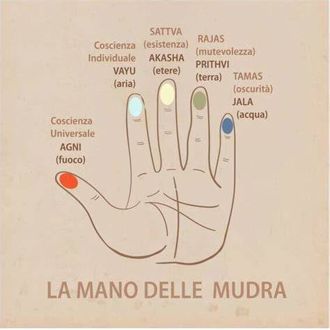 Grafica che illustra le mani e le dita con i loro significati simbolici