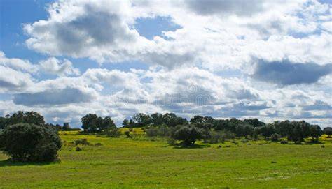 Paesaggio rurale con querce