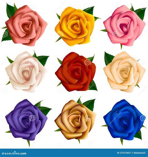 tavola con rose di vari colori