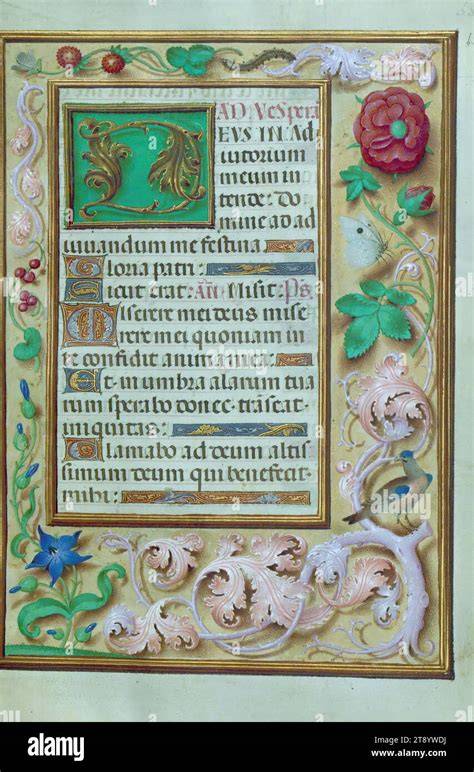 Manoscritto medievale con testo legale