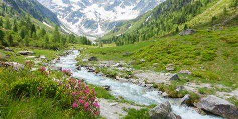 Paesaggio montano del Trentino-Alto Adige con un fiume