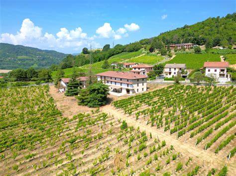 Villa Pandolfa con vigneti circostanti