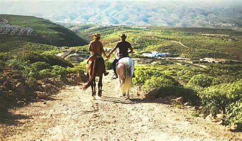 Coppia a cavallo in un sentiero boschivo