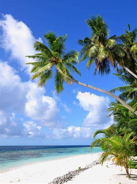 Spiaggia tropicale alle Maldive con palme, sabbia bianca e mare turchese