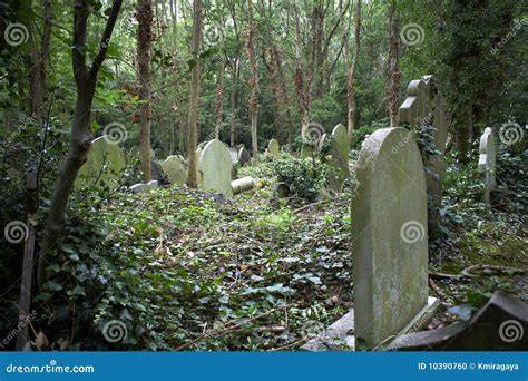 Un antico cimitero con tombe