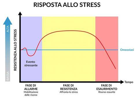 Schema delle fasi di risposta a uno stressor